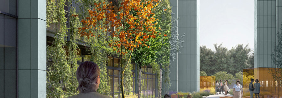 Rbr courtyard 001 final 02 cropped